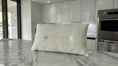 Bamboo Bliss Filled Pillow